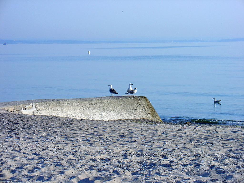 Fewo Machedanz Am Hafen Timmendorfer Strand Ot Niendorf 外观 照片